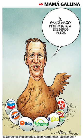 Mamá gallina
